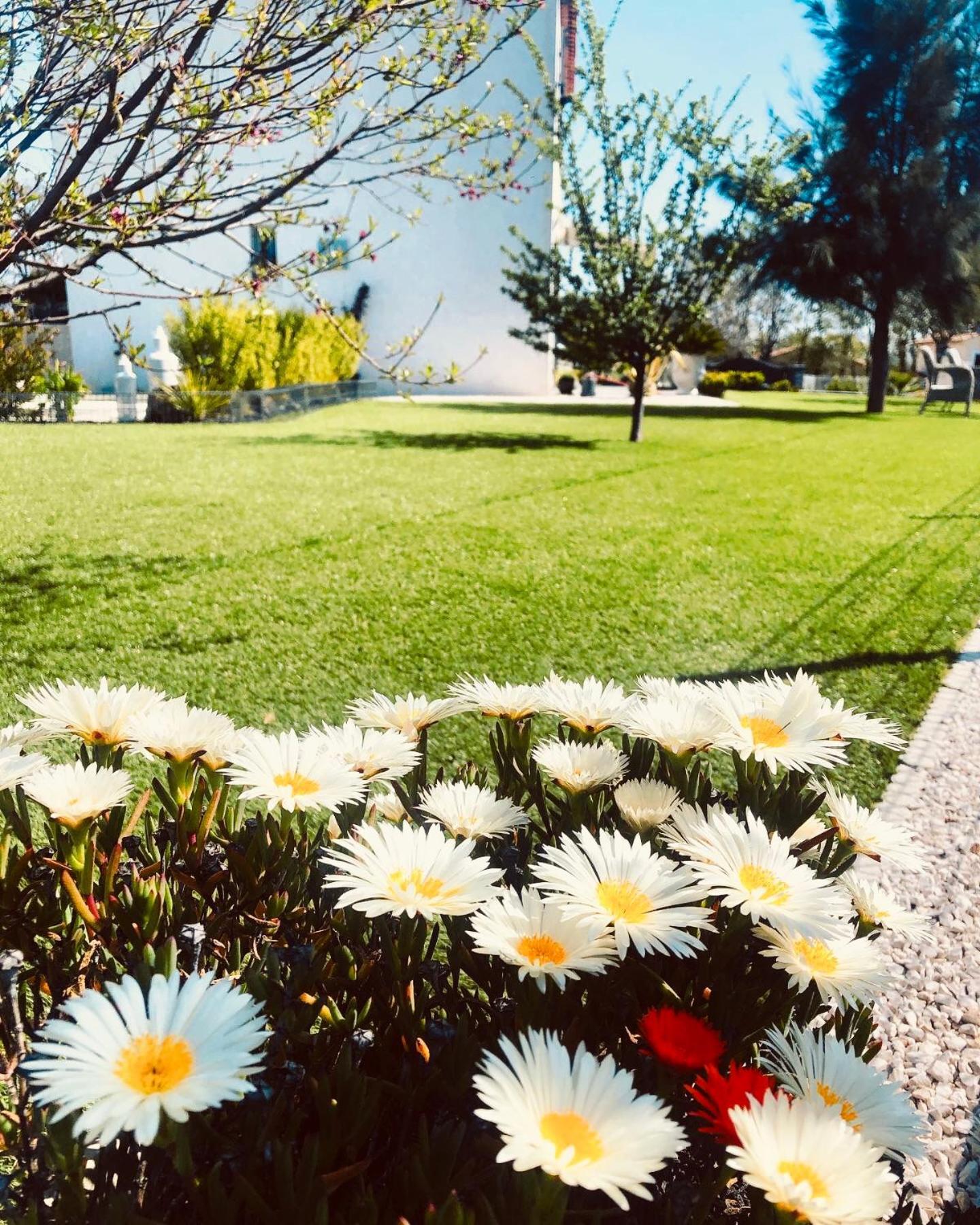 רוקברון-סור-ארז'נס Villa Maolo 2 מראה חיצוני תמונה